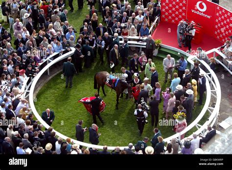 horse racing tips winners enclosure.